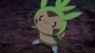 Chespin as it appears in the anime (Image via The Pokemon Company)